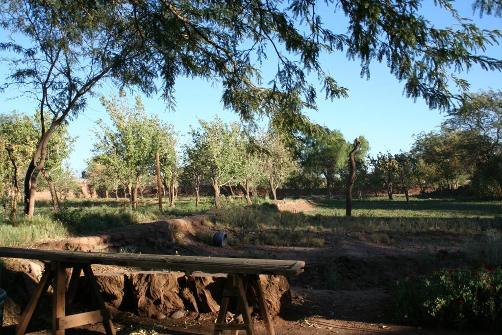 Quinta Adela Bed & Breakfast San Pedro de Atacama Exterior foto